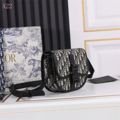 Dior Bags AAA 100